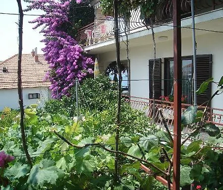 Knez טרוגיר